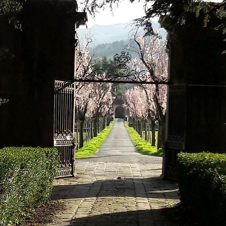 Ai Chiosi Affittacamere Pontremoli Exterior foto